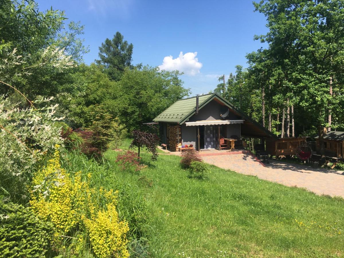 Wyspadrzewodomek Kamionna (Trzciana) Exterior photo